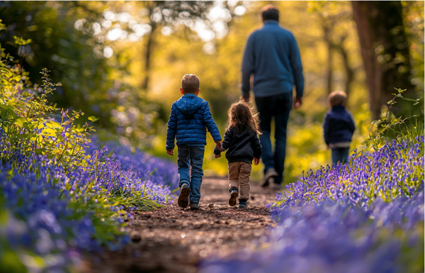 Oultonhall Mainthingstodo Carousel Desktop Walks