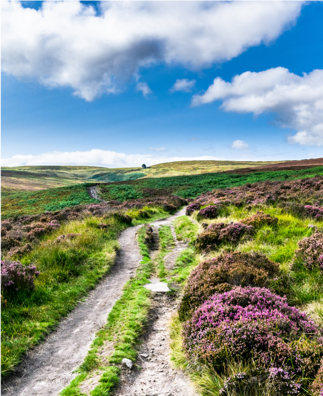 Oultonhall Aboutus Crosssell Desktop TTD