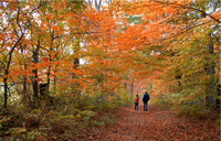 Oultonhall Mainthingstodo Carousel Desktop Seasonal