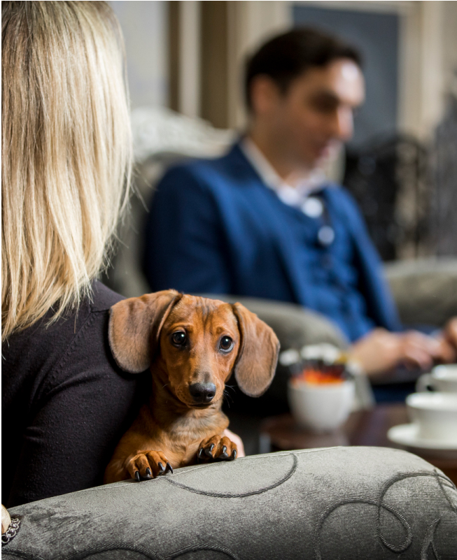 Oultonhall Aboutus Crosssell Desktop Dogfriendly