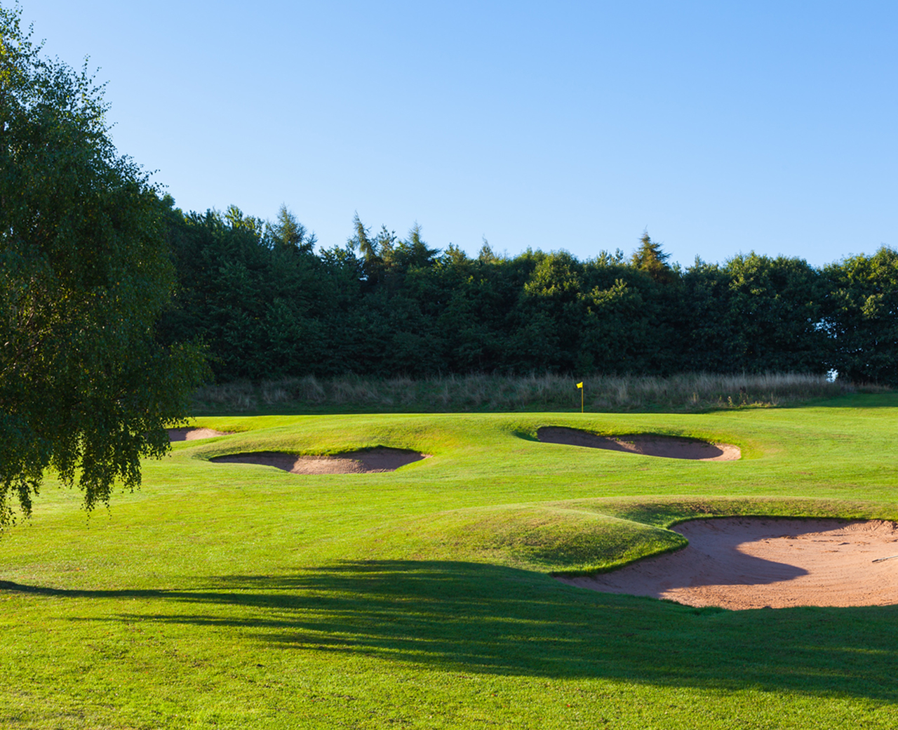 The Calverley Course 