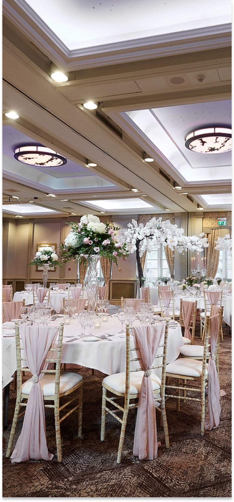 Wedding Packages Banner