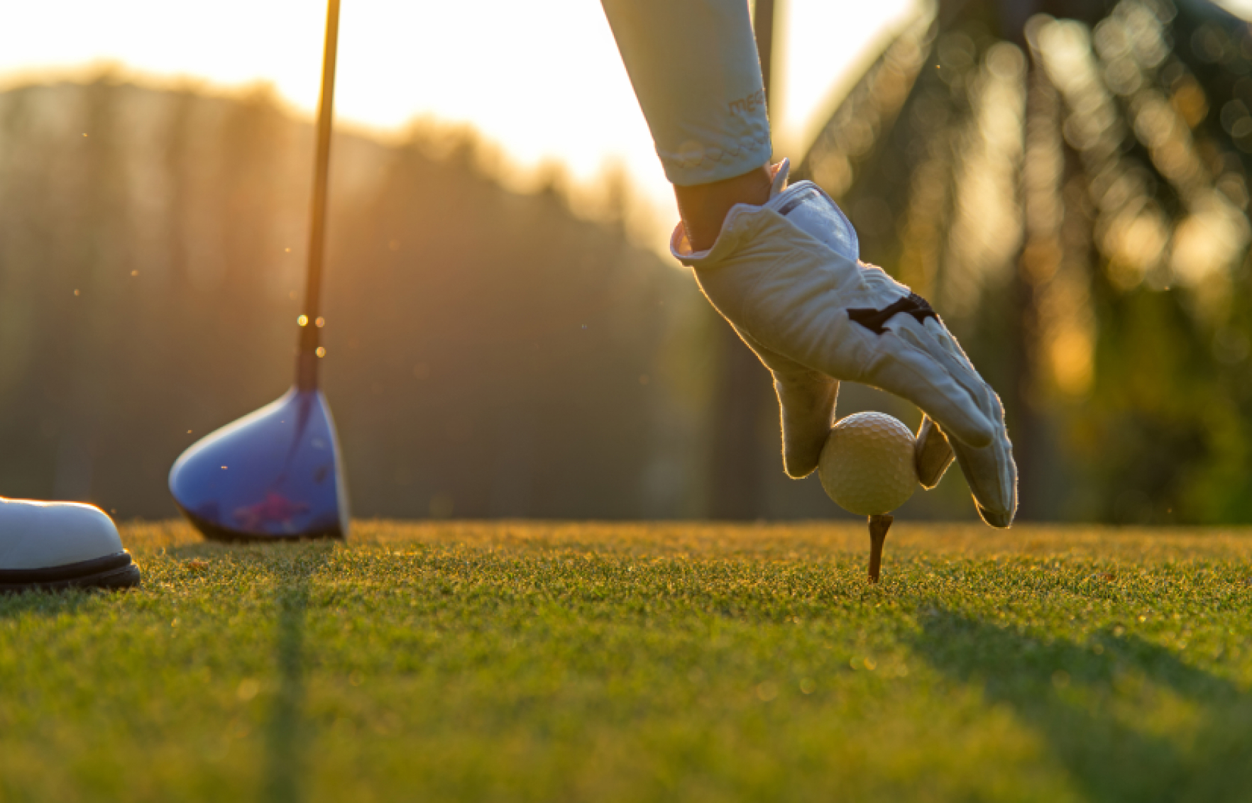 Golf Offer 1