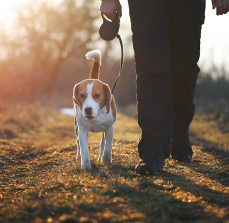 <strong>SECRET WATERFALL & PRIESTLEY GREEN</strong>